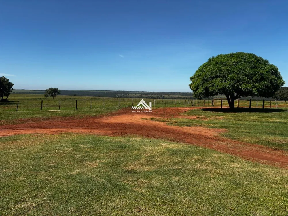 Fazenda, 876 hectares - Foto 4