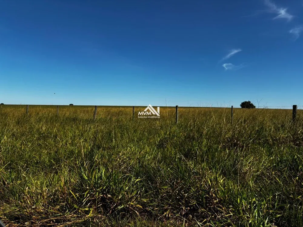 Fazenda, 876 hectares - Foto 2