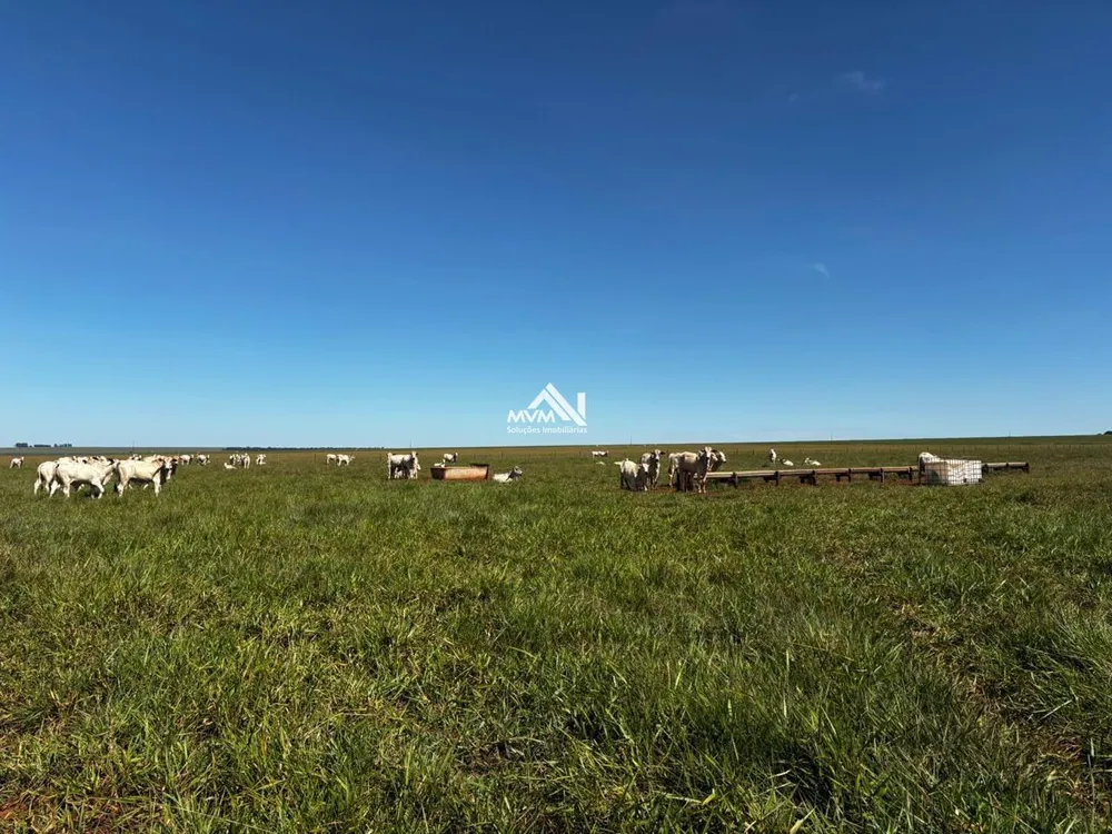 Fazenda, 876 hectares - Foto 3