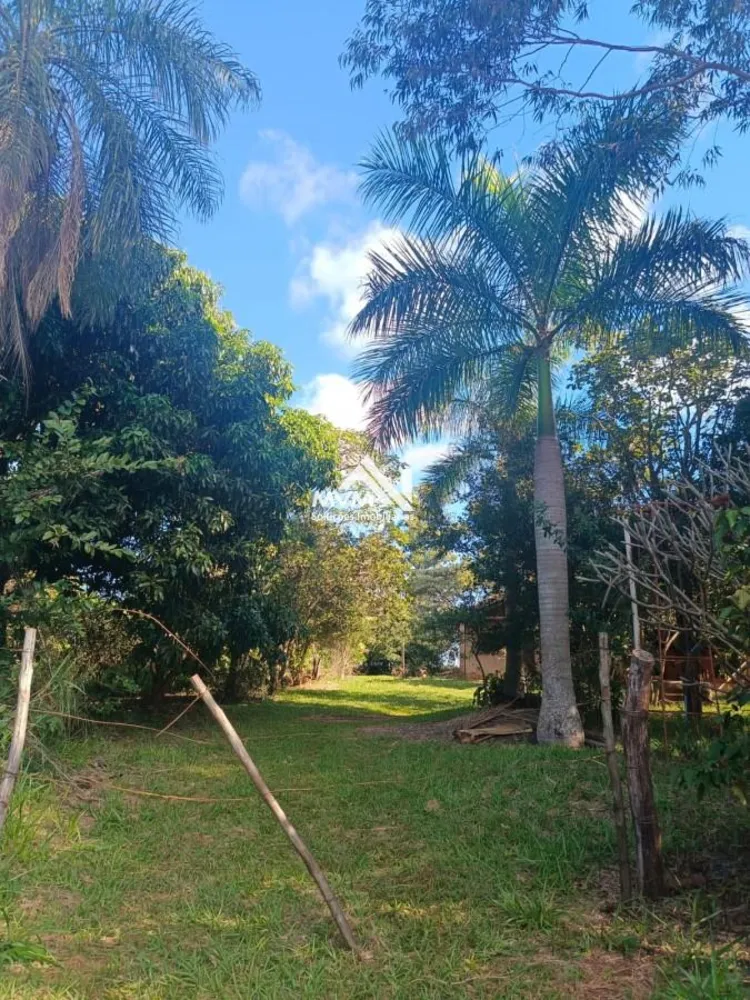 Chácara, 3 quartos, 9 hectares - Foto 8