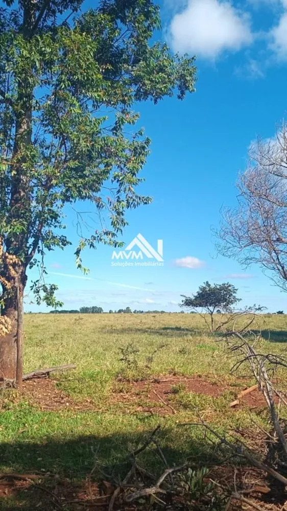 Chácara, 3 quartos, 9 hectares - Foto 4