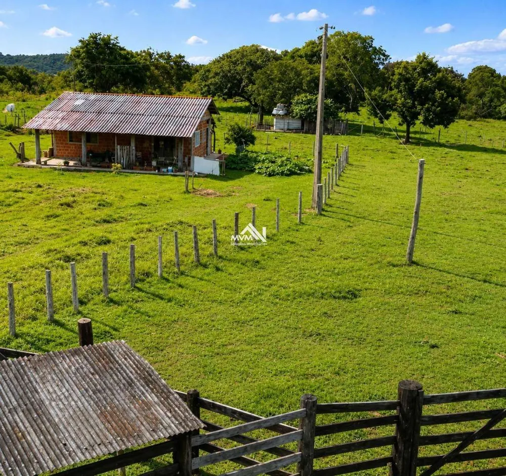 Fazenda, 180 hectares - Foto 6
