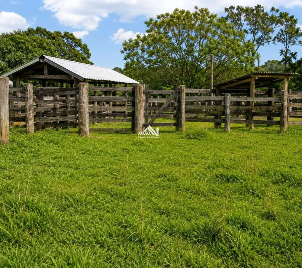 Fazenda, 180 hectares - Foto 8