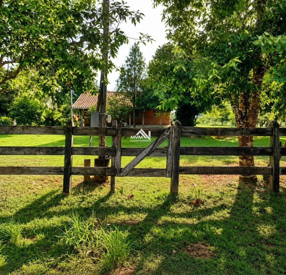 Fazenda, 180 hectares - Foto 4