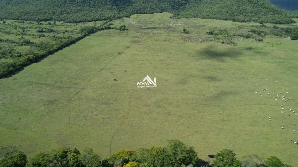 Sítio, 50 hectares - Foto 1