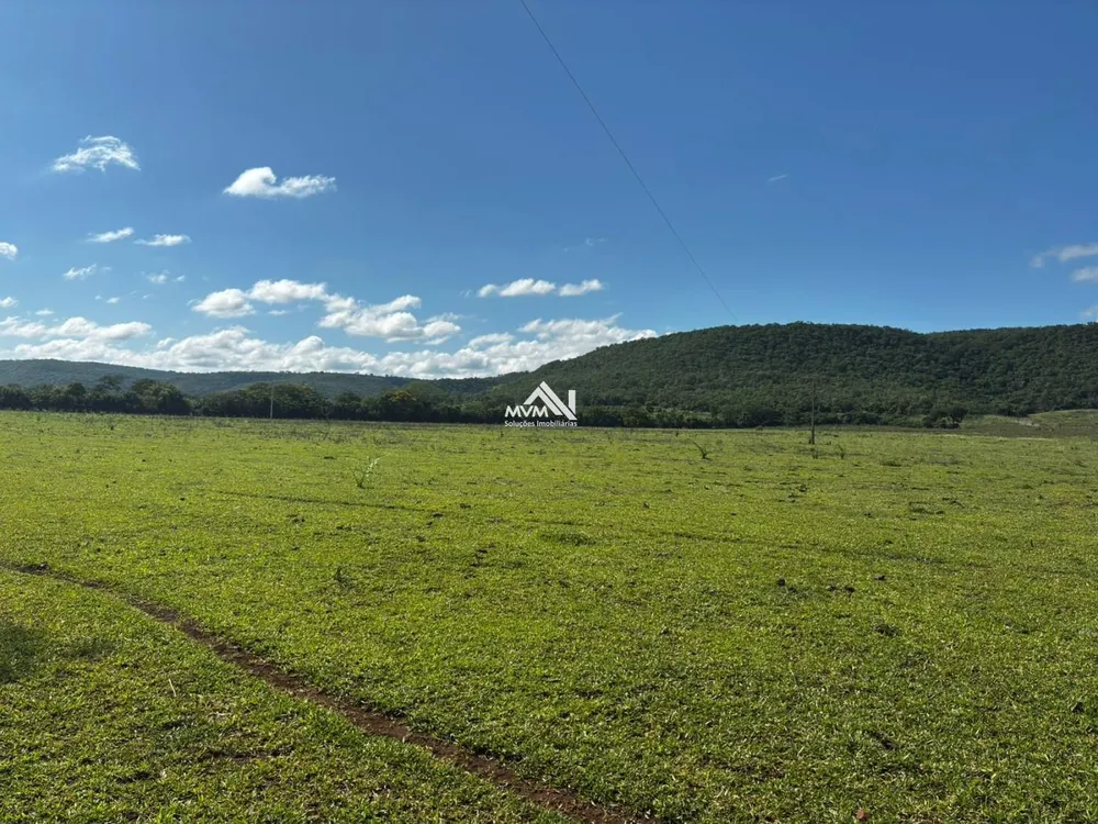Sítio, 50 hectares - Foto 4