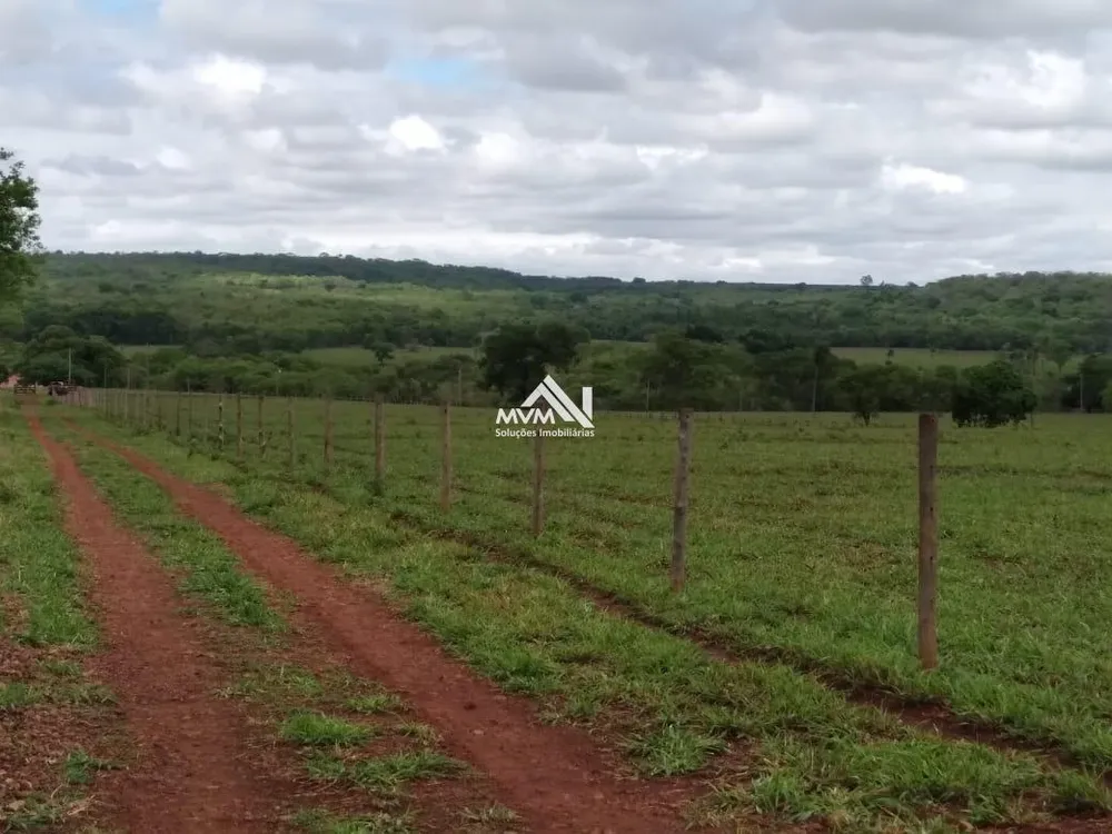 Chácara, 47 hectares - Foto 4