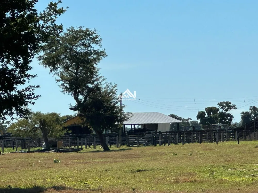 Fazenda, 3000 hectares - Foto 6