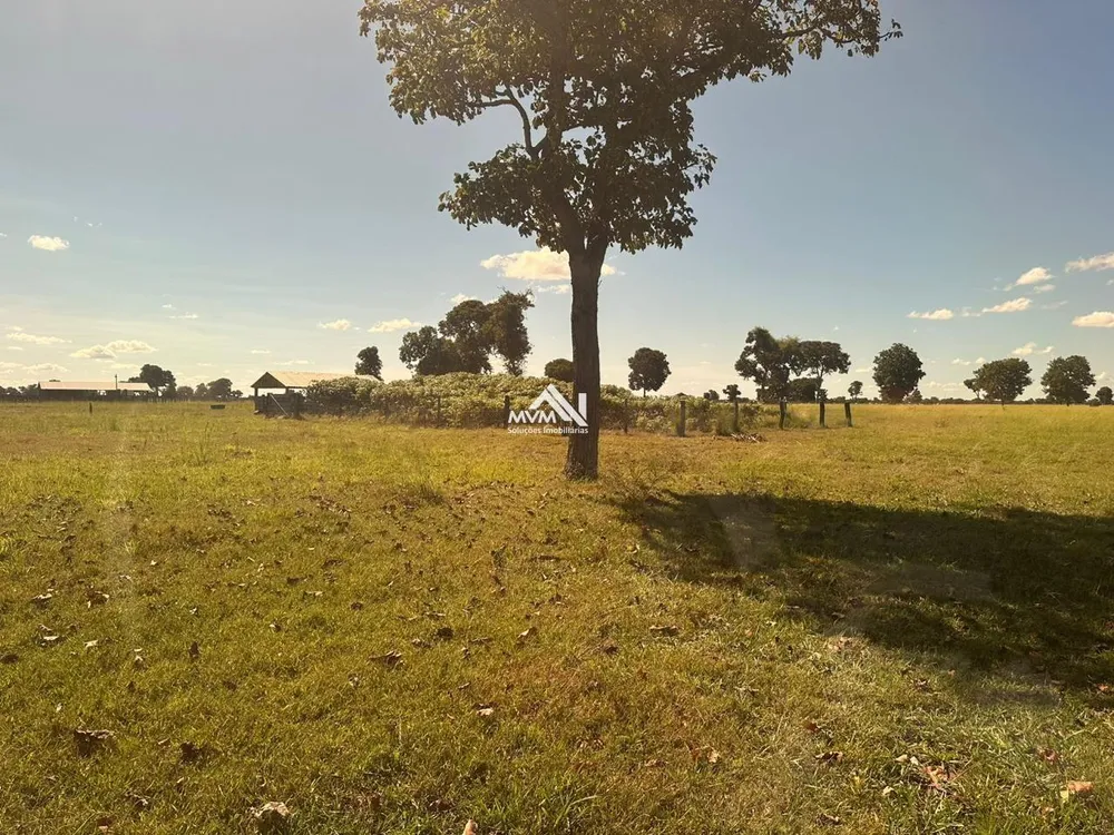Fazenda, 3000 hectares - Foto 2