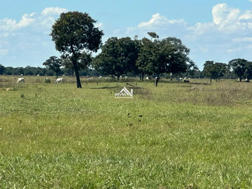 Fazenda, 3000 hectares - Foto 1