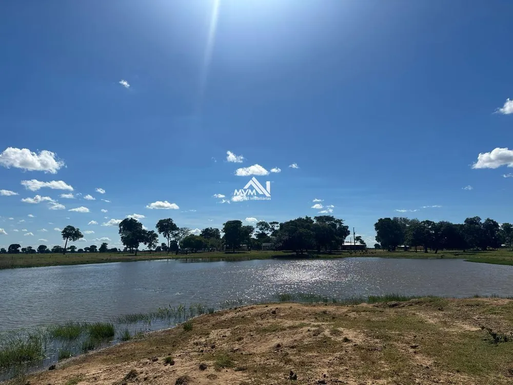 Fazenda, 3000 hectares - Foto 4