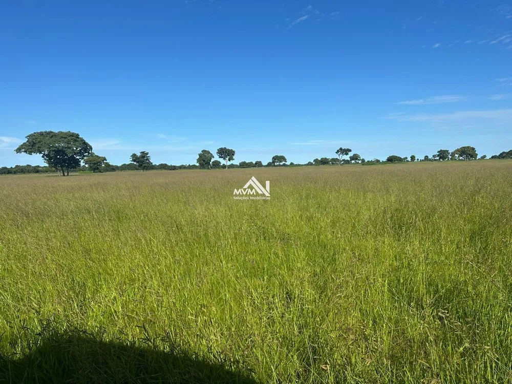 Fazenda, 3000 hectares - Foto 2