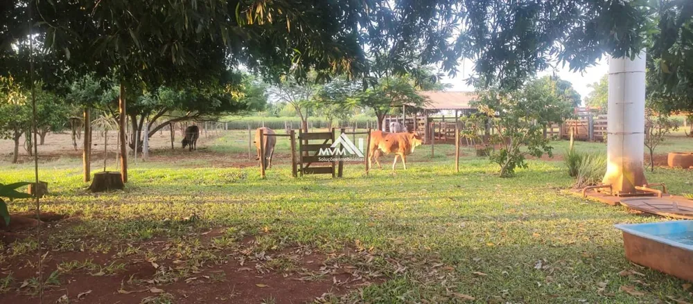 Chácara, 3 quartos, 9 hectares - Foto 12