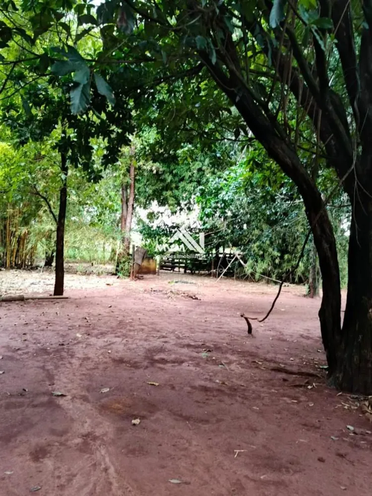 Chácara, 3 quartos, 9 hectares - Foto 10