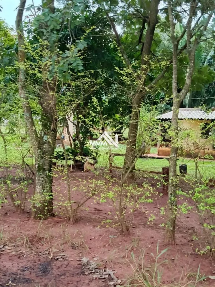 Chácara, 3 quartos, 9 hectares - Foto 6