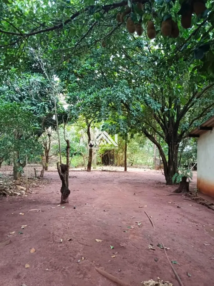 Chácara, 3 quartos, 9 hectares - Foto 8
