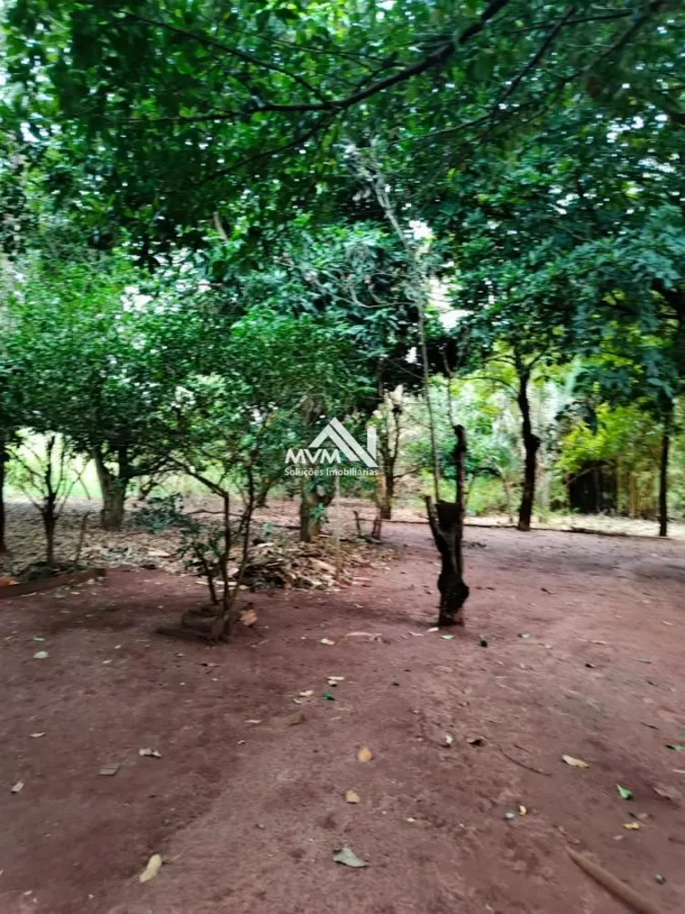 Chácara, 3 quartos, 9 hectares - Foto 9