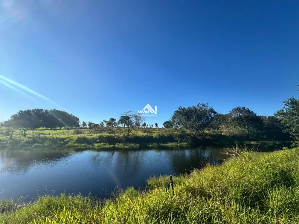 Chácara, 28 hectares - Foto 10