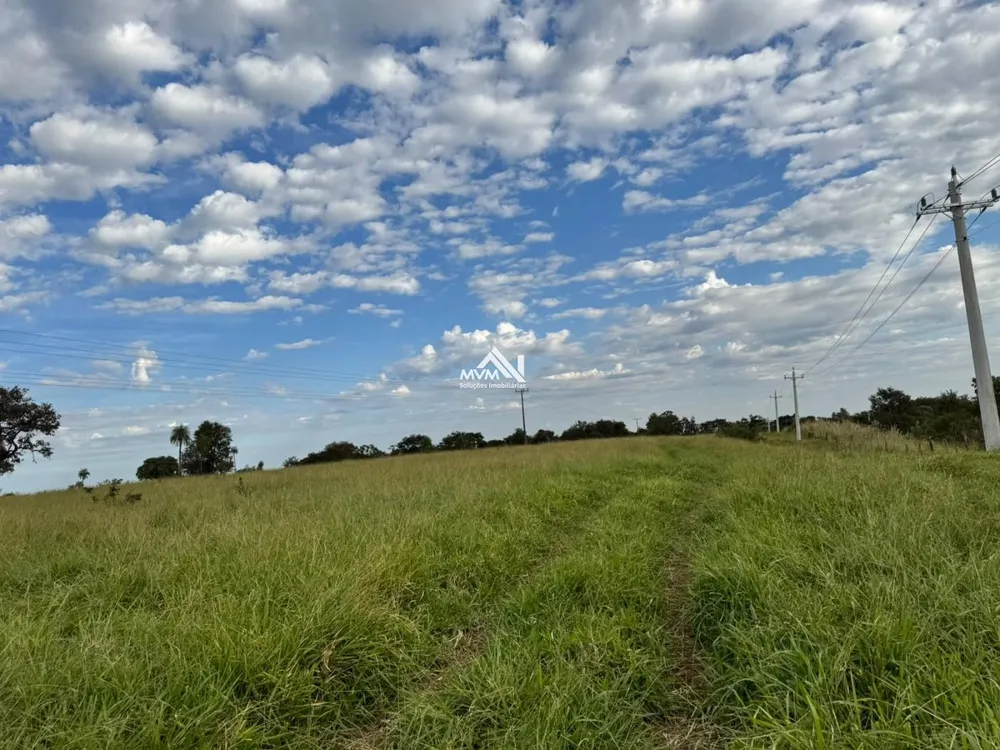Terreno, 100 hectares - Foto 3