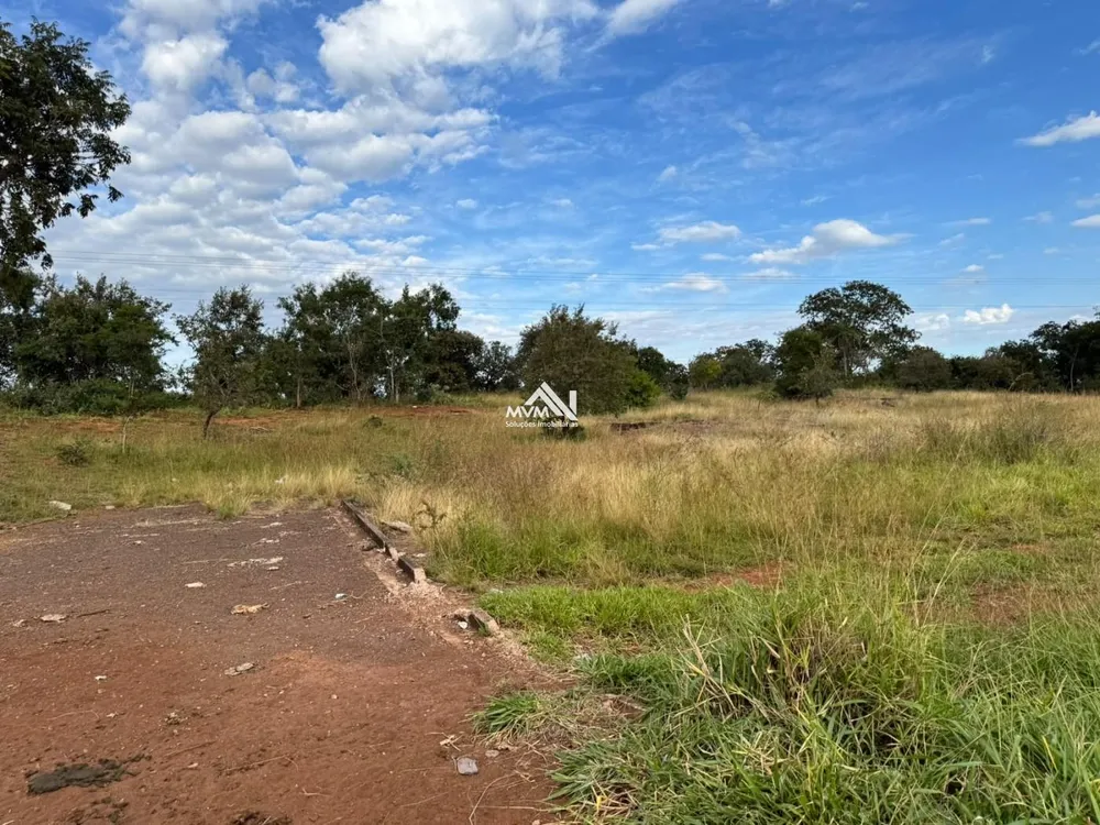 Terreno, 100 hectares - Foto 9
