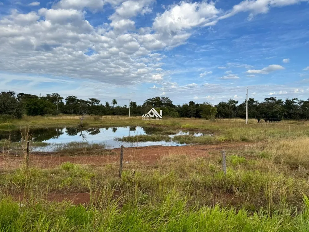 Terreno, 100 hectares - Foto 6