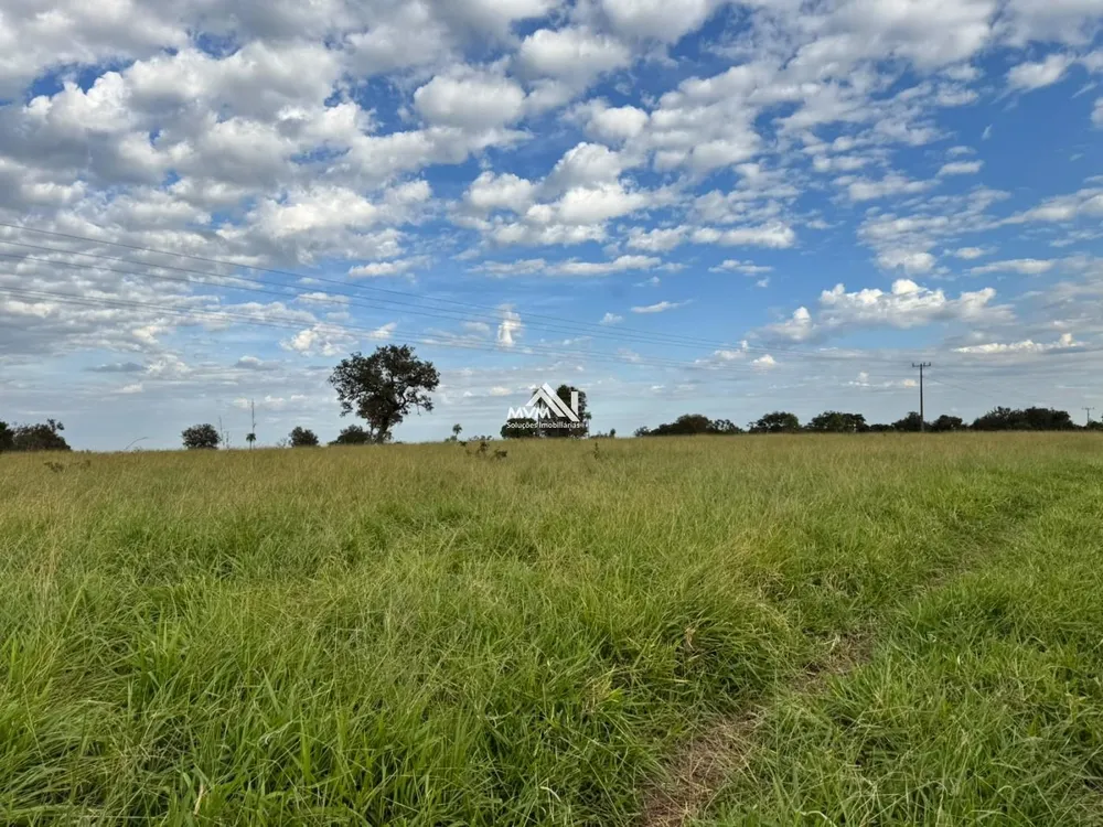 Terreno, 100 hectares - Foto 1