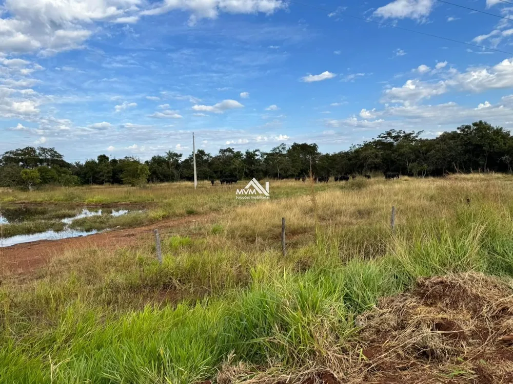 Terreno, 100 hectares - Foto 7