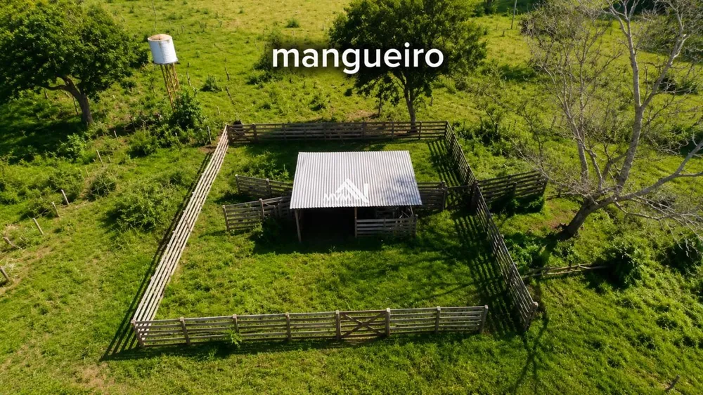 Sítio, 15 hectares - Foto 6