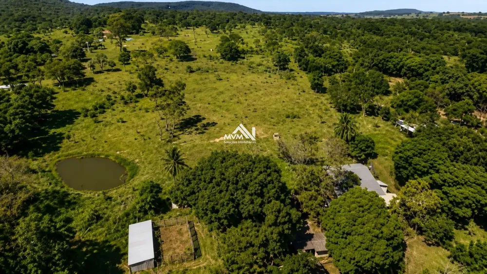 Sítio, 15 hectares - Foto 4