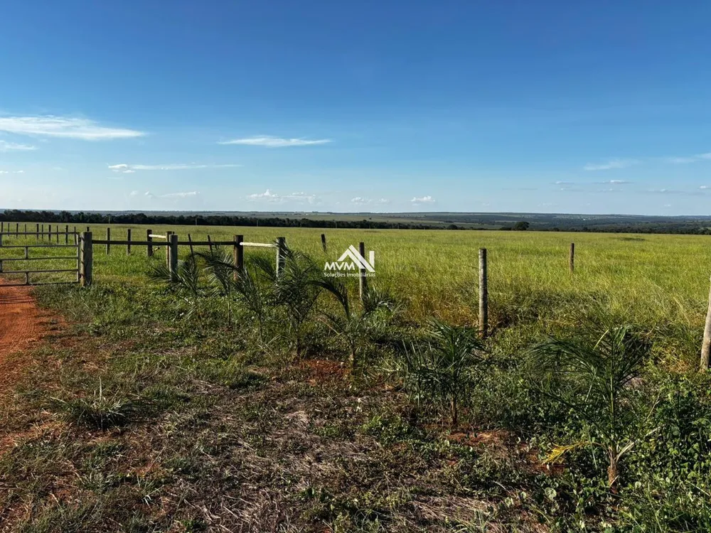 Fazenda, 418 hectares - Foto 3