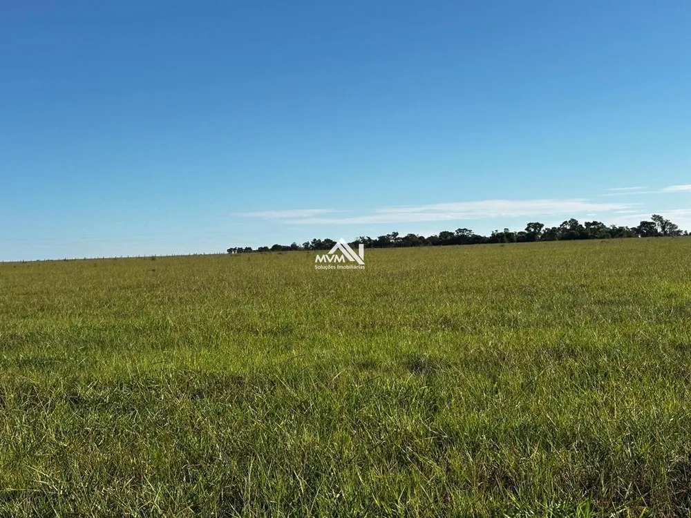 Fazenda, 418 hectares - Foto 2