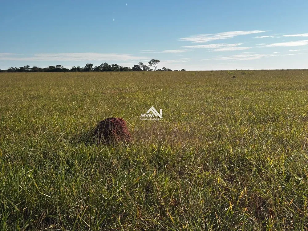 Fazenda, 418 hectares - Foto 4