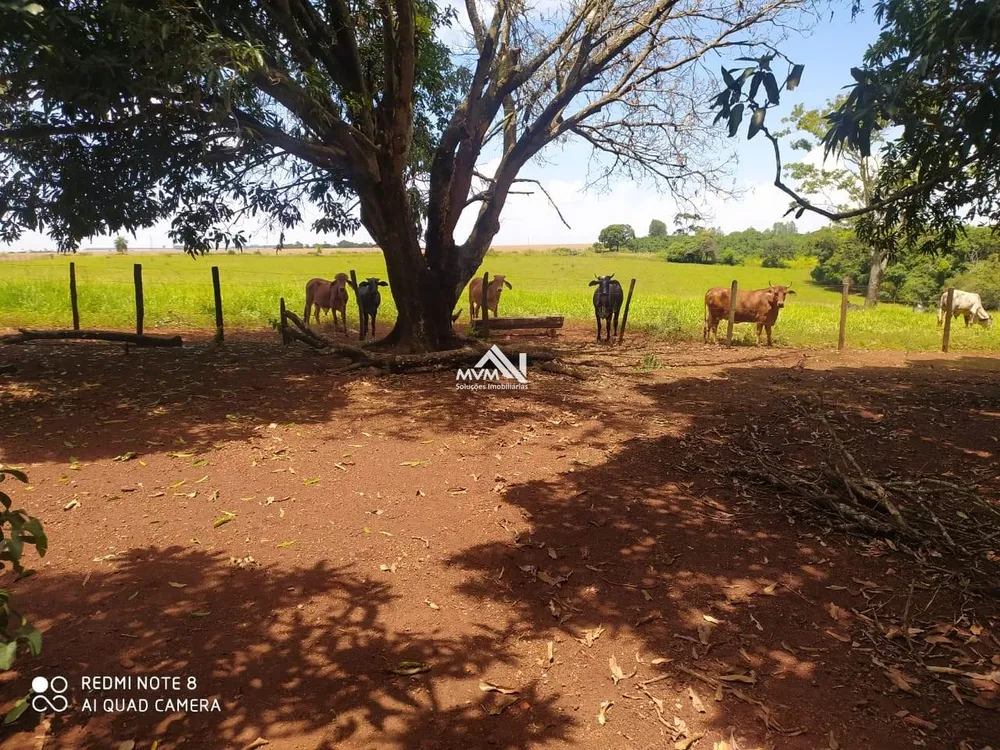 Chácara, 53 hectares - Foto 8