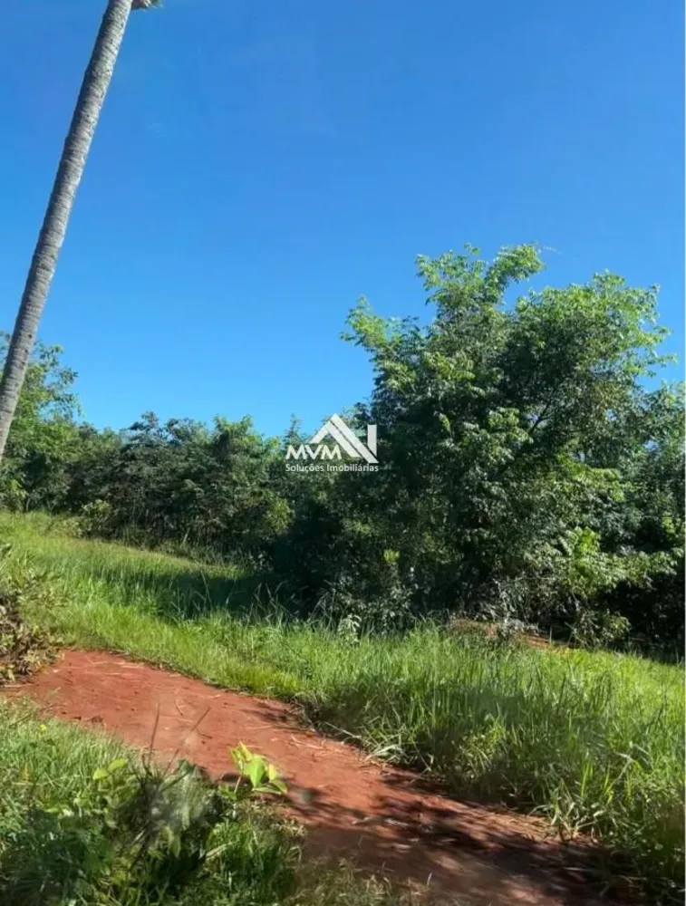 Chácara, 22 hectares - Foto 1