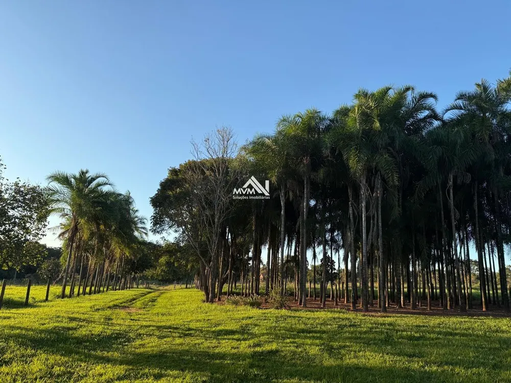Chácara, 13 hectares - Foto 10