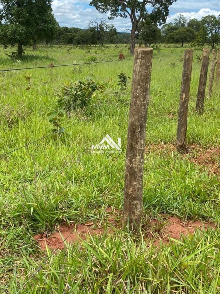 Chácara, 2 quartos, 13 hectares - Foto 7