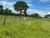 Chácara, 2 quartos, 15 hectares - Foto 5