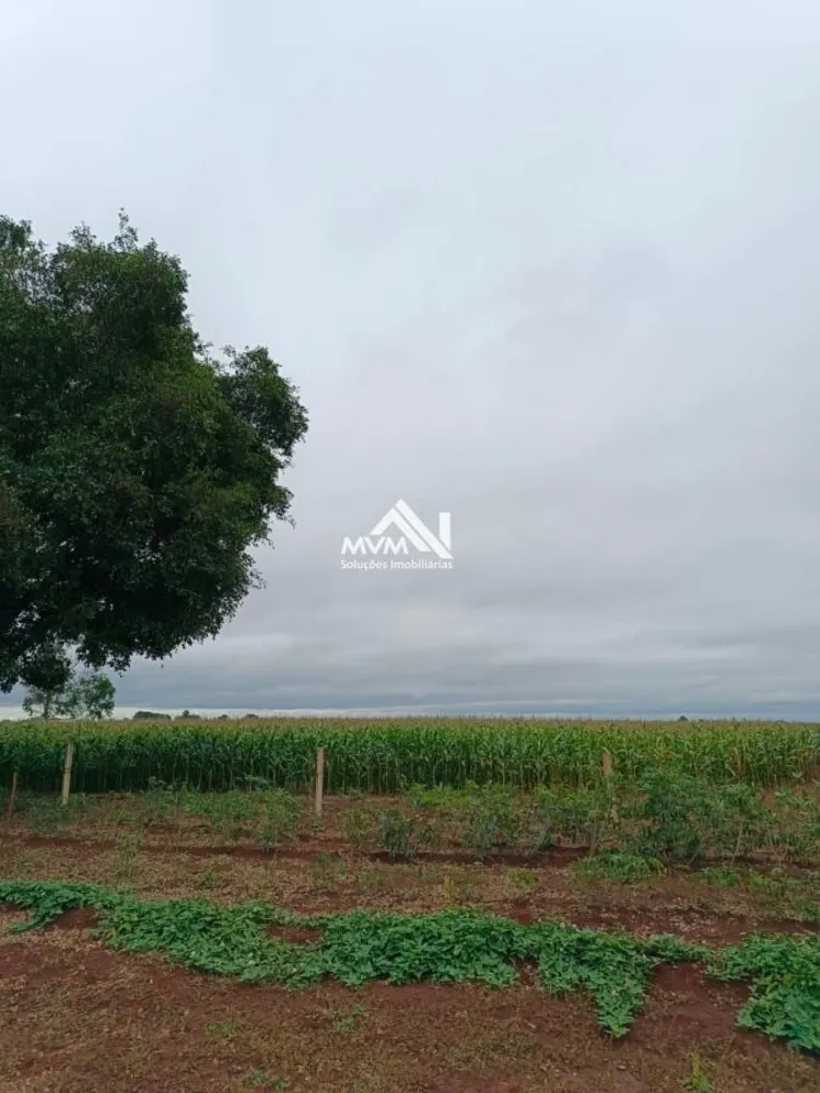 Chácara, 3 quartos, 9 hectares - Foto 1