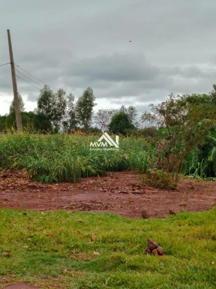 Chácara, 3 quartos, 9 hectares - Foto 6