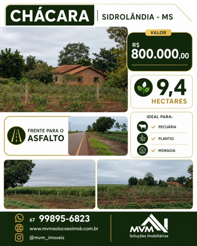 Chácara, 3 quartos, 9 hectares - Foto 2