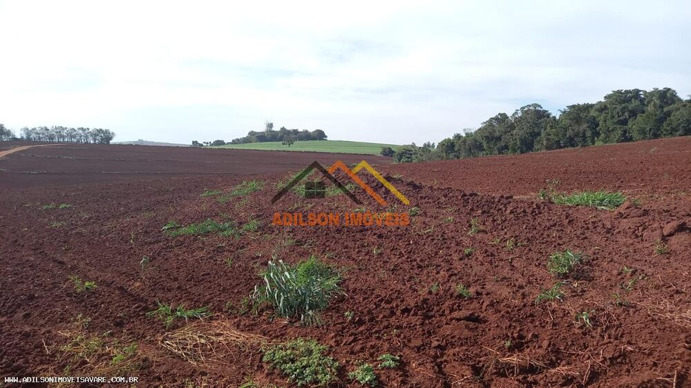Terreno à venda, 338800m² - Foto 3