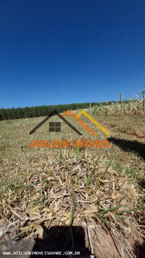 Sítio, 7 hectares - Foto 4