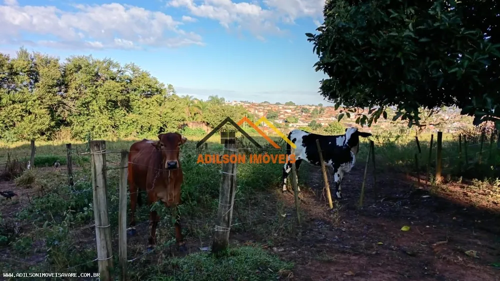 Chácara, 3 quartos, 2 hectares - Foto 3