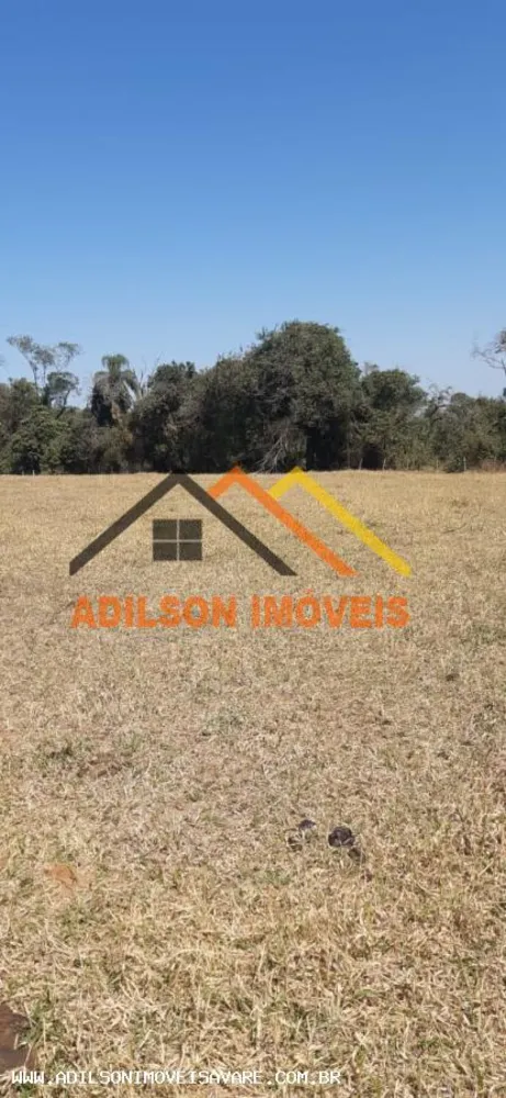 Terreno, 4 hectares - Foto 4