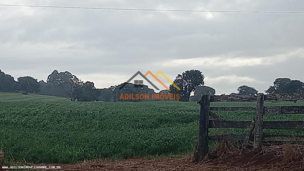 Chácara, 34 hectares - Foto 2