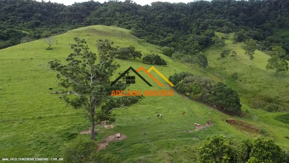 Sítio, 24 hectares - Foto 7