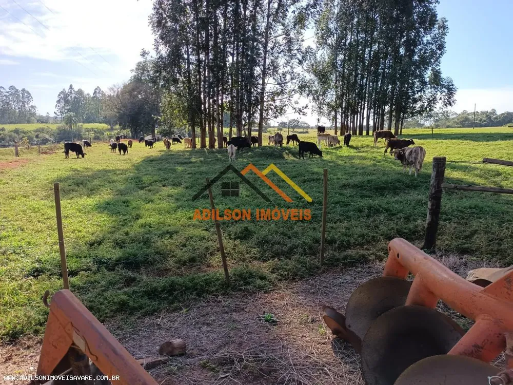 Fazenda, 97 hectares - Foto 4