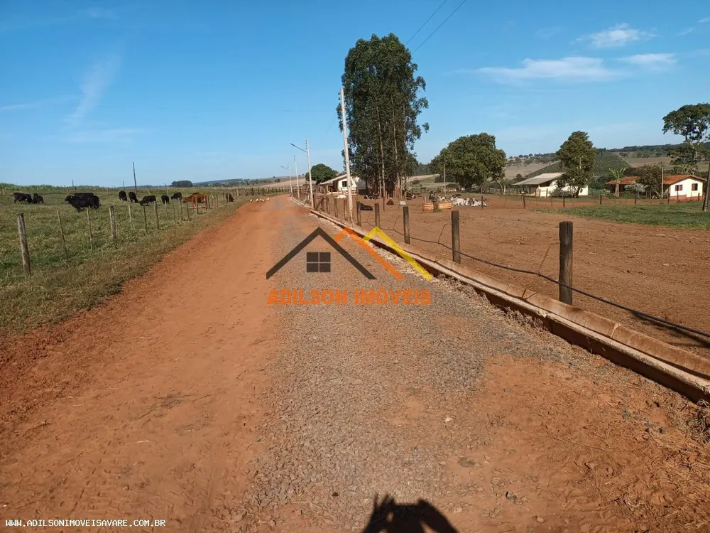 Fazenda, 97 hectares - Foto 3