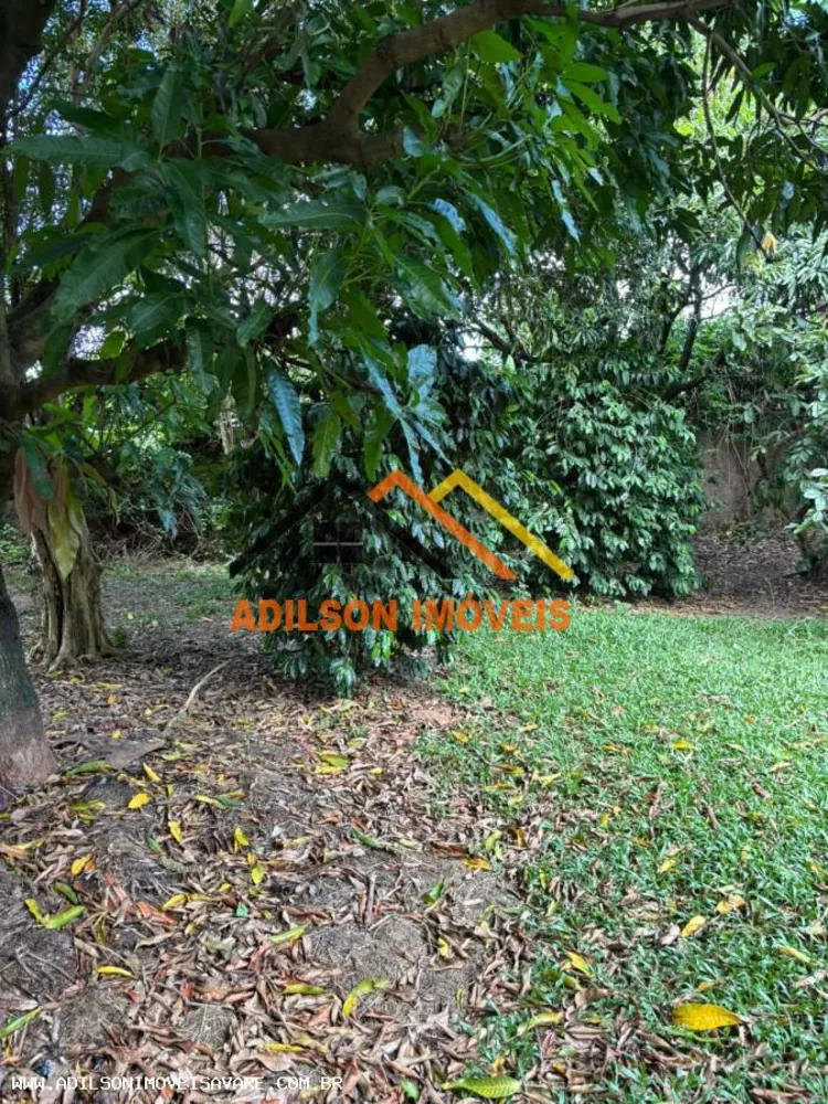 Terreno, 250 m² - Foto 1