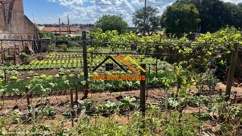 Terreno - Foto 3